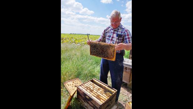 James Rhein, the 'Bee Man' photo provided