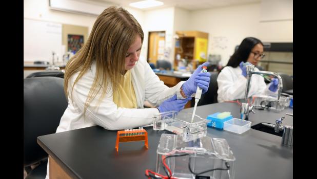 Macie Tate, Mansfield, loads DNA samples into the agarose gel used in testing for antibiotic-resistant bacteria. photo courtesy of MSU-WP