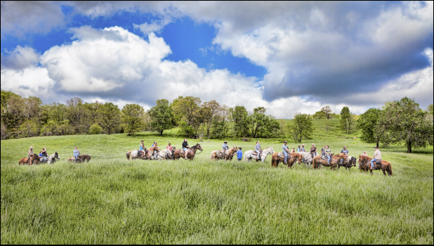 The "King of the Ozarks" exhibit will be featured on Thursday, September 21 from 5:30 p.m. to 7:00 p.m., in the Gallery at the West Plains Civic Center. photo courtesy of Joyce McMurtrey