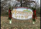 The Mtn. View Garden Club will hold their annual Swag Workshop. photo provided